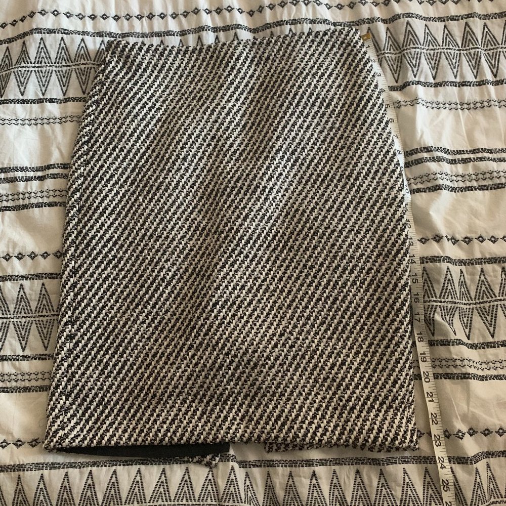 Ann Taylor Skirt